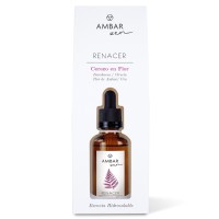 Ambar Zen Essential Oil 50ml - Cherry Blossom - 1 Case - 12 Units Ambar Zen Essential Oil 50ml - Cherry Blossom - 1 Case - 12 Units