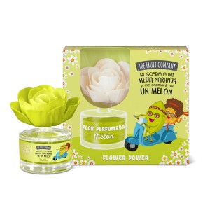 The Fruit Company Flower Diffusor Melon - 1 Case - 8 Units